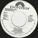 Bionic Boogie - Risky Changes/Risky Changes (US Promo)