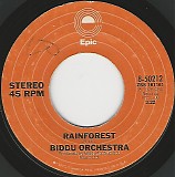 Biddu Orchestra - Rainforest/Hot Ice (US)