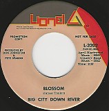 Big City Down River - Blossom/Lynsong (US Promo)