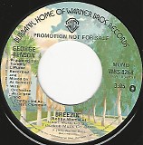 George Benson - Breezin'/Breezin' (US Promo)