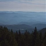 Maybeshewill - No Feeling is Final
