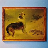 Explosions In The Sky - The Rescue [Anniversary Edition]