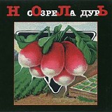 ÐÐ¾Ð»ÑŒ - Ð¡Ð¾Ð·Ñ€ÐµÐ»Ð° Ð”ÑƒÑ€ÑŒ