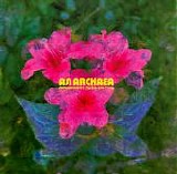 Amusement Parks On Fire - An Archaea