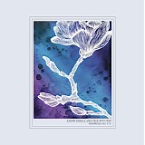 Jason Isbell And The 400 Unit - Georgia Blue