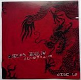 Gov't Mule - Mulennium
