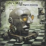 Gov't Mule - Life Before Insanity