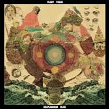 Fleet Foxes - Helplessness Blues