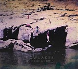 Lowlakes - Iceberg Nerves