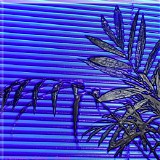 Electronic Visions - Create