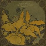 Radin, Joshua - I'll Be Your Friend (acoustic)