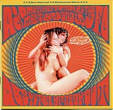 Acid Mothers Temple & The Melting Paraiso UFO - Absolutely Freak Out (Zap Your Mind!!)