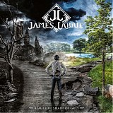 James LaBrie - Beautiful Shade Of Grey