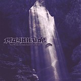 Magnitude - To Whatever Fateful End