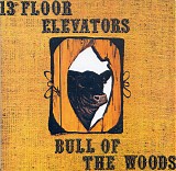 13th Floor Elevators - Bull Of The Woods