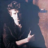 Don Henley - Building The Perfect Beast