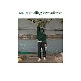 Wallows - Pulling Leaves off Trees