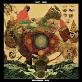 Fleet Foxes - Helplessness Blues