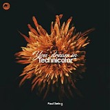 Paul Seling - You Dream in Technicolor