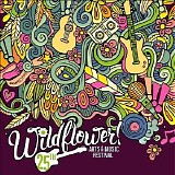 Lynyrd Skynyrd - 2017-05-20 - Wildflower Arts & Music Festival, Galatyn Park, Richardson, TX, USA