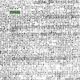 Ty Segall - Ty Rex II (EP)