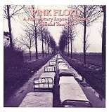 Pink Floyd - A Momentary Lapse Of Reason Official Tour CD (Demo CDS)