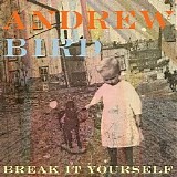 Andrew Bird - Break It Yourself