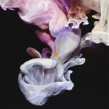 Various artists - Murmurations