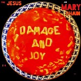 The Jesus And Mary Chain - Damage And Joy