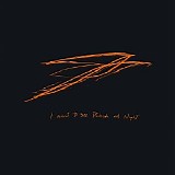 Andrew Bird - I Want to See Pulaski at Night