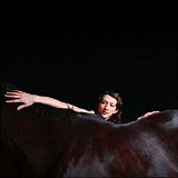 My Brightest Diamond - Bring Me the Workhorse