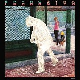 Spyro Gyra - Incognito