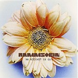 Rammstein - Du Riechst So Gut (Single)