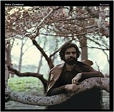 Felix Cavaliere - Destiny