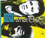 Bad Boys Blue - What Else?