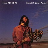 Tears for Fears - Break It Down Again