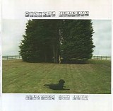 Michael Chapman - Dreaming Out Loud