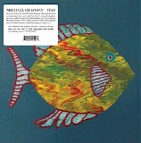Michael Chapman - Fish