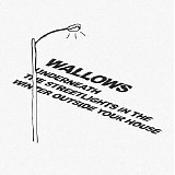 Wallows - Underneath the Streetlights in the Winter Outside Your House