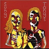 Animal Collective - Sung Tongs