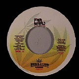 Alborosie - Herbalist