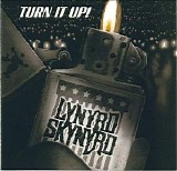 Lynyrd Skynyrd - Turn It Up