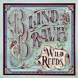 The Wild Reeds - Blind and Brave