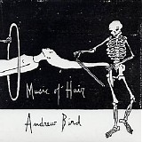 Andrew Bird - Music Of Hair