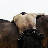 Moses Sumney - Quarrel
