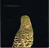Andrew Bird - Armchair Apocrypha
