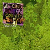 Animal Collective - Water Curses EP
