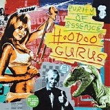 Hoodoo Gurus - Purity Of Essence