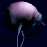 Arca - &&&&&