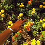 Tyler, the Creator - Peach Fuzz - Single